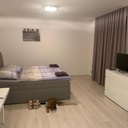 Modern Apartment In The City Center Plzen Ngoại thất bức ảnh